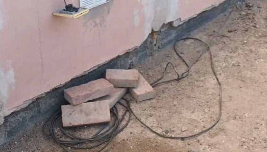 Investigan a mujer en Chubut por intentar electrocutar perros con un pan cargado de&nbsp;electricidad