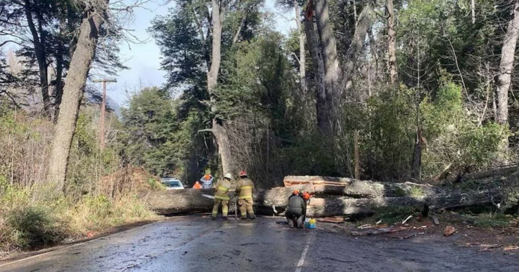 Bariloche azotada por ráfagas: techos volados, árboles caídos y cortes de&nbsp;luz
